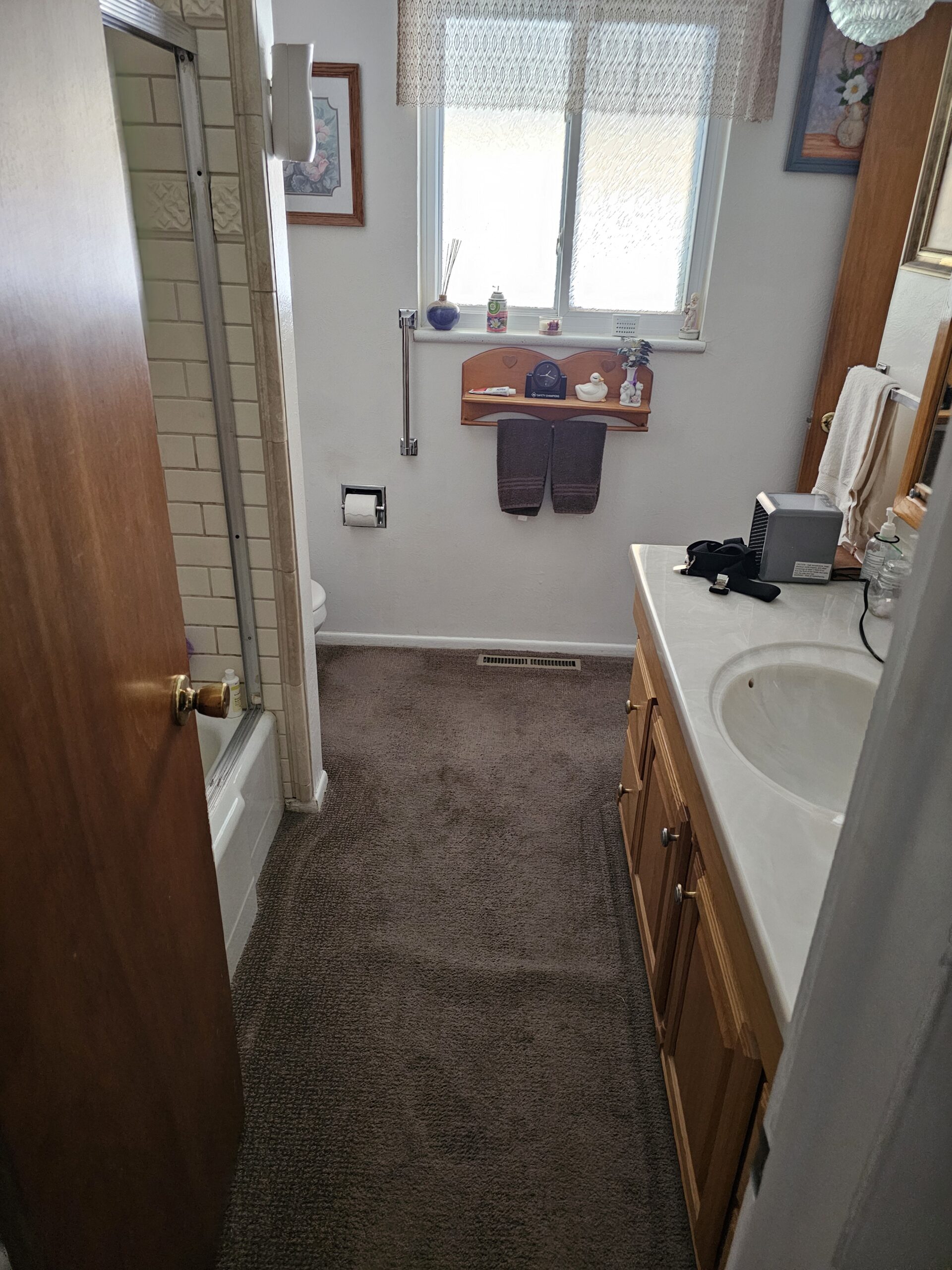 before shower-to-tub conversion