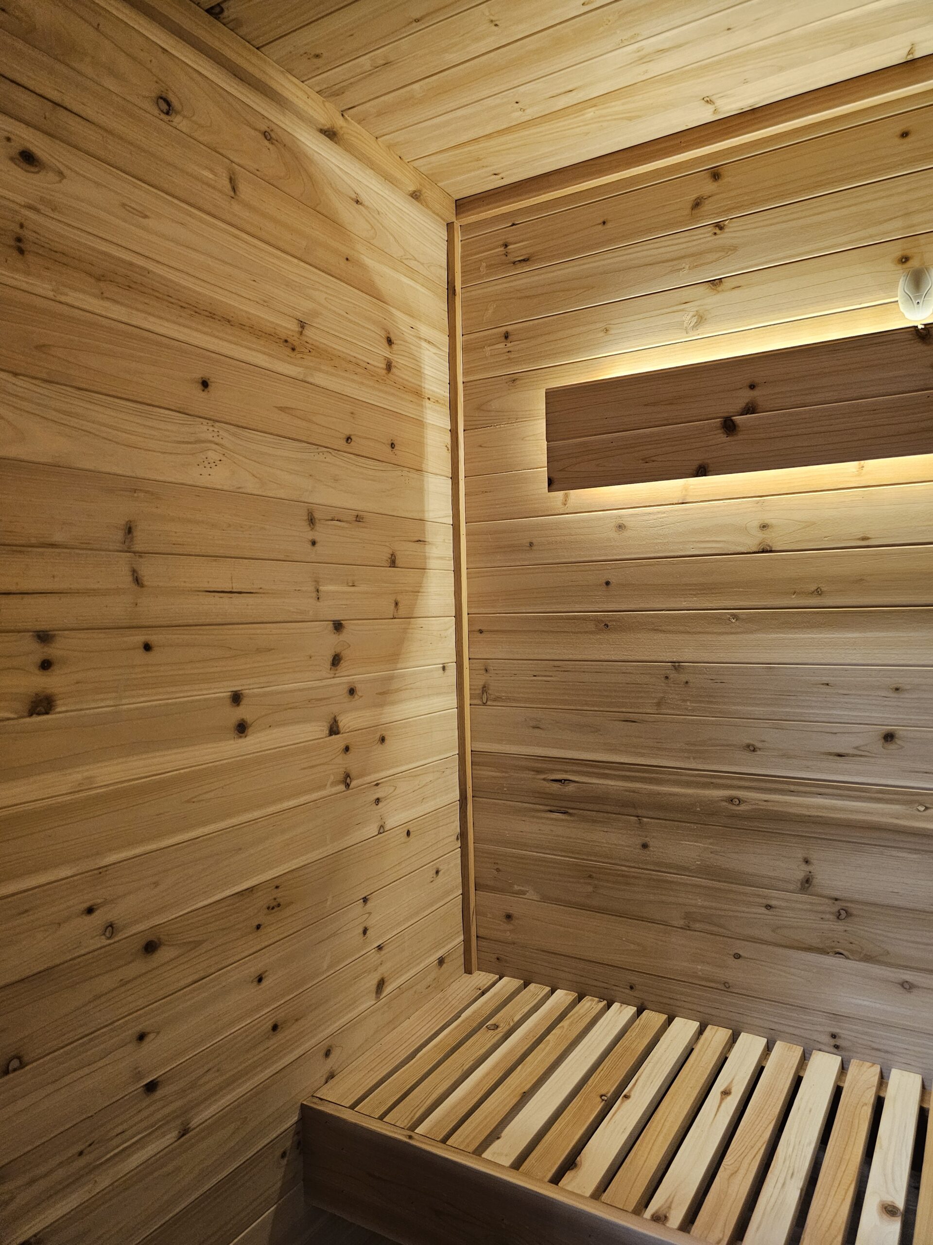 Sauna Build in Monument Colorado